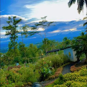 USAD Cut-flower and Vegetable Demo Site​-1